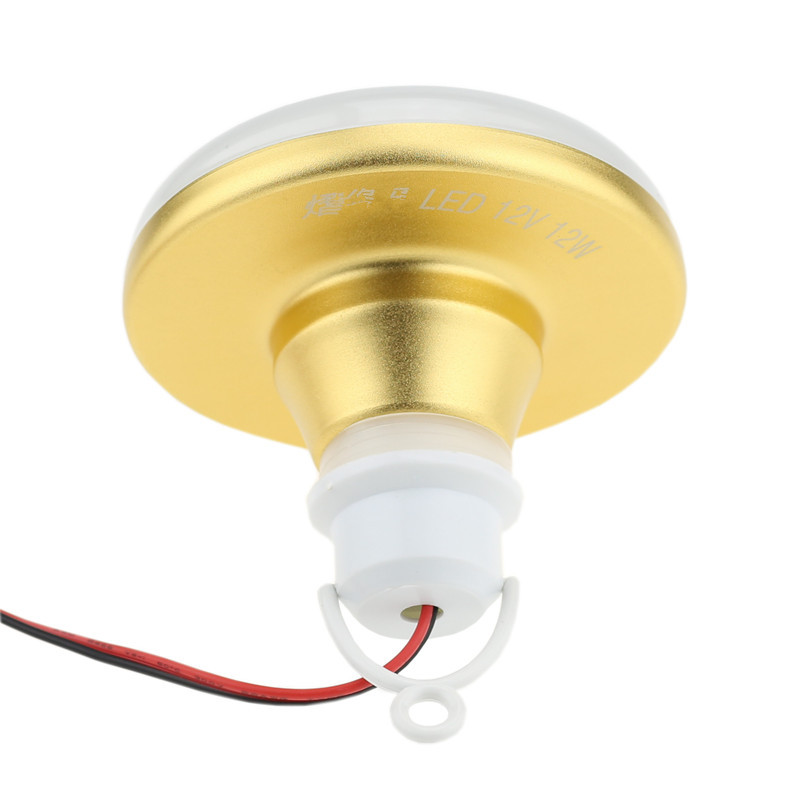 مصباح LED مقاوم للماء 12 فولت  - مراجعة Outdoor Lighting Vendor وسعره