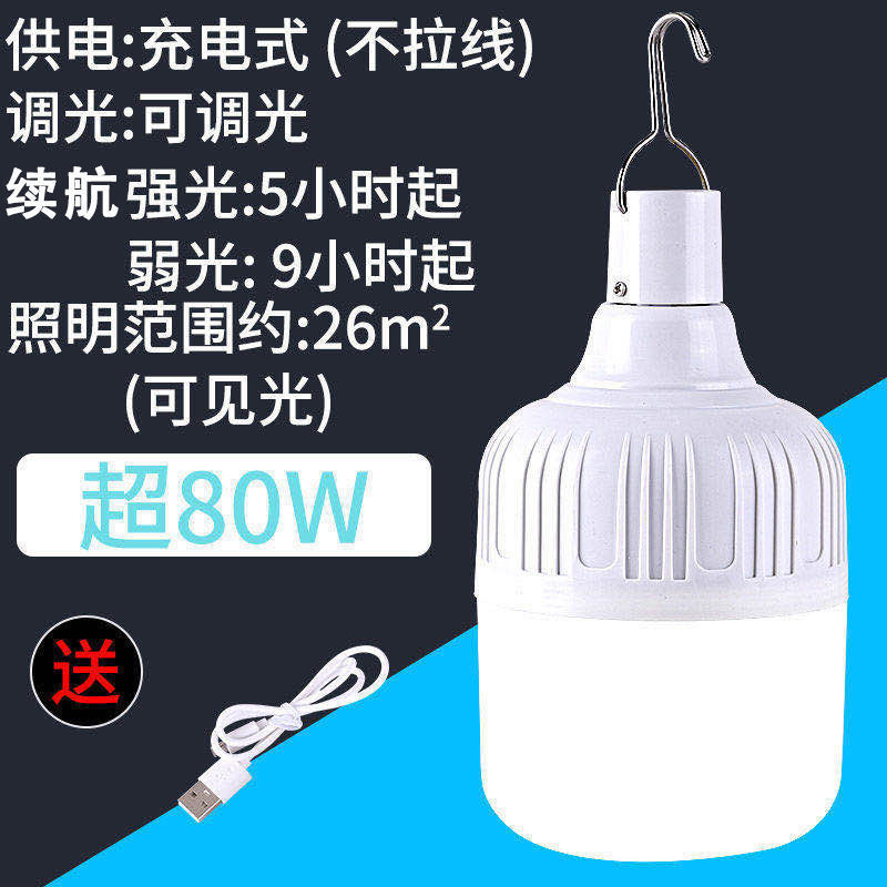 مصباح LED قابل لإعادة الشحن فا - مراجعة Outdoor Lighting Vendor وسعره