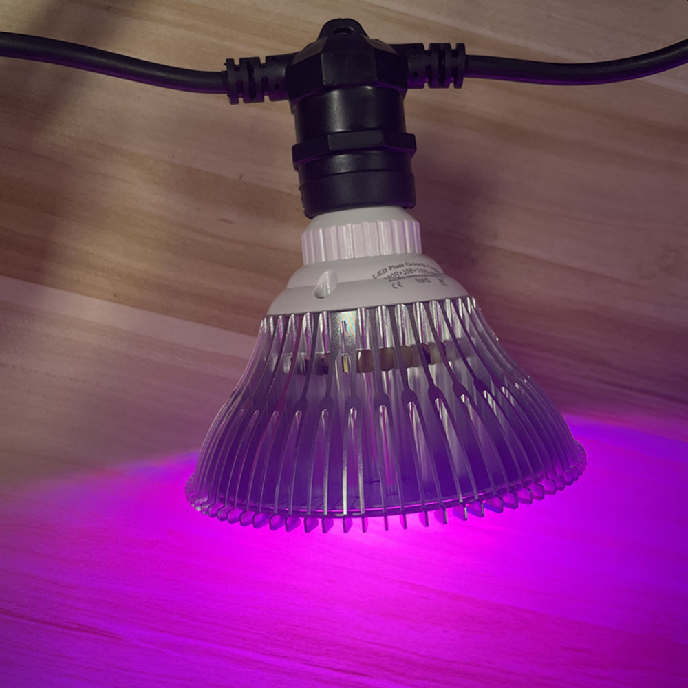 سلسلة إضاءة LED بطول 10 أمتار، - مراجعة Outdoor Lighting Construction وسعره